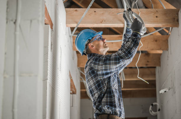 Best Electric Panel Repair  in Mked Tree, AR